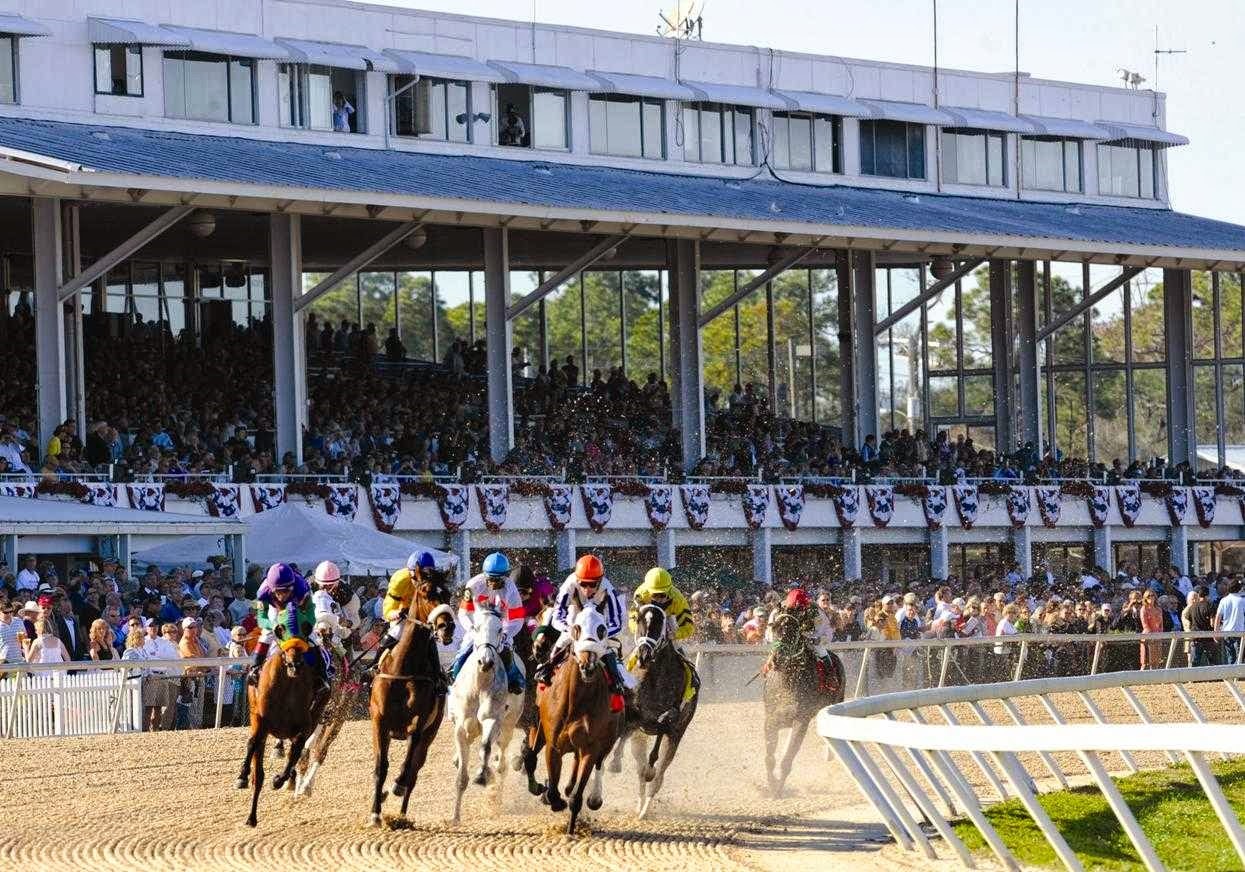 Reviews for Sky Terrace Dining Room At Tampa Bay Downs, Florida